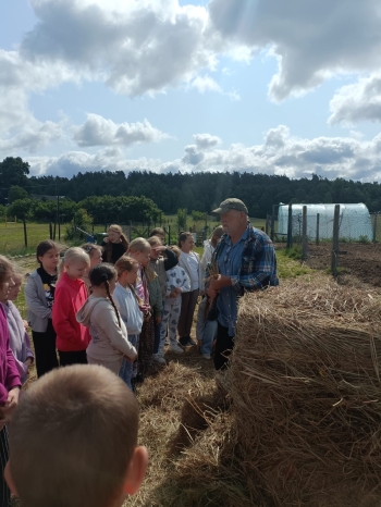 WhatsApp Image 2025-06-13 at 08.15.58.jpeg