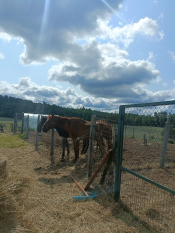 WhatsApp Image 2025-06-13 at 08.15.57.jpeg