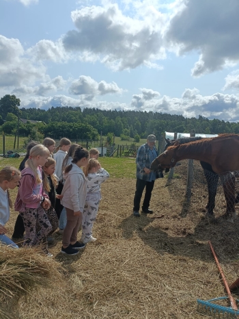 WhatsApp Image 2025-06-13 at 08.15.59 (1).jpeg