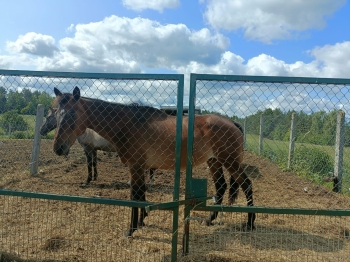 WhatsApp Image 2025-06-13 at 08.15.59.jpeg