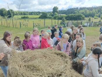 WhatsApp Image 2025-06-13 at 08.16.00.jpeg