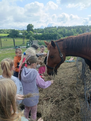 WhatsApp Image 2025-06-13 at 08.16.01.jpeg