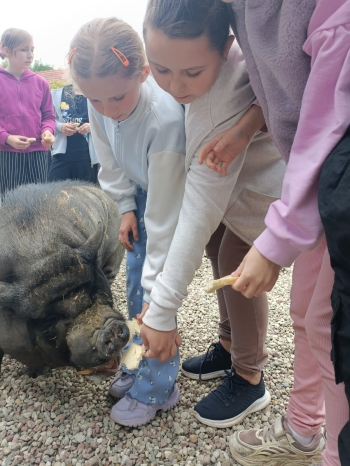 WhatsApp Image 2025-06-13 at 08.16.05.jpeg