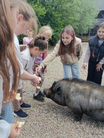 WhatsApp Image 2025-06-13 at 08.16.06 (1).jpeg