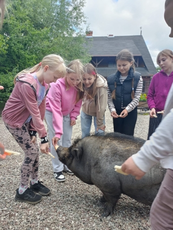 WhatsApp Image 2025-06-13 at 08.16.06.jpeg