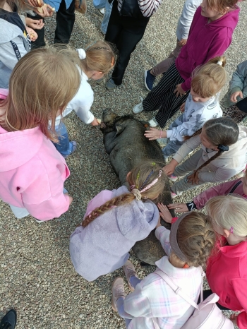 WhatsApp Image 2025-06-13 at 08.16.07 (1).jpeg