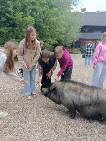 WhatsApp Image 2025-06-13 at 08.16.07.jpeg