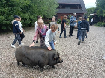 WhatsApp Image 2025-06-13 at 08.16.08.jpeg