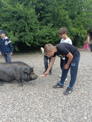 WhatsApp Image 2025-06-13 at 08.16.09.jpeg