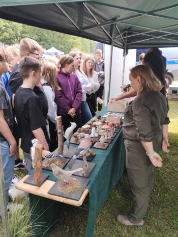 WhatsApp Image 2025-06-17 at 12.45.08.jpeg