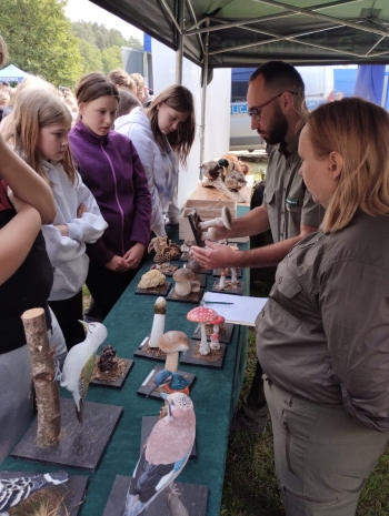 WhatsApp Image 2025-06-17 at 12.45.47.jpeg