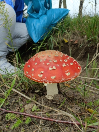 WhatsApp Image 2025-09-19 at 17.47.24 (3).jpeg