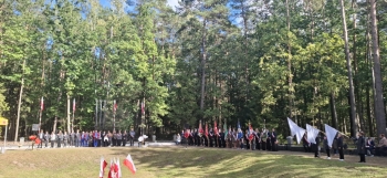 c9e3115f-2340-43d5-be4e-54aad3aefd1a