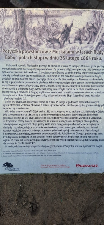 WhatsApp Image 2025-11-13 at 16.15.13.jpeg