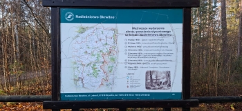 WhatsApp Image 2025-11-13 at 16.14.37.jpeg