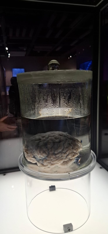 WhatsApp Image 2025-11-28 at 08.17.38 (2).jpeg