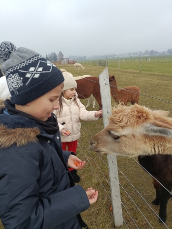 WhatsApp Image 2025-12-17 at 19.36.15 (1).jpeg