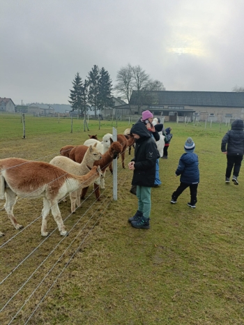 WhatsApp Image 2025-12-17 at 19.36.15 (2).jpeg