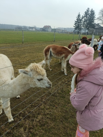 WhatsApp Image 2025-12-17 at 19.36.15 (3).jpeg