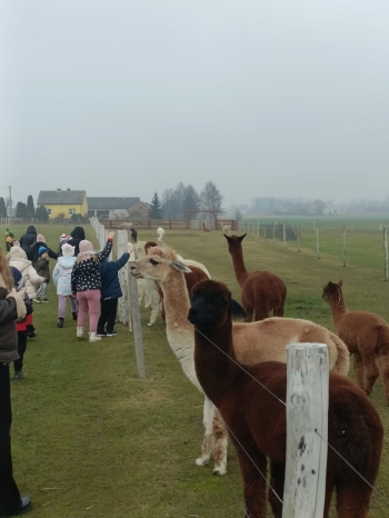 WhatsApp Image 2025-12-17 at 19.36.15.jpeg