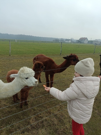 WhatsApp Image 2025-12-17 at 19.36.16 (1).jpeg