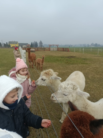 WhatsApp Image 2025-12-17 at 19.36.17 (1).jpeg