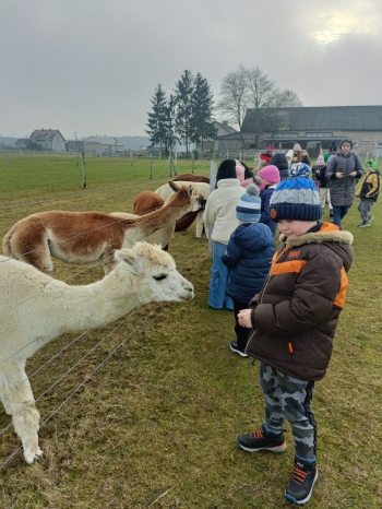 WhatsApp Image 2025-12-17 at 19.36.16.jpeg