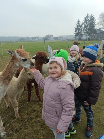 WhatsApp Image 2025-12-17 at 19.36.17.jpeg