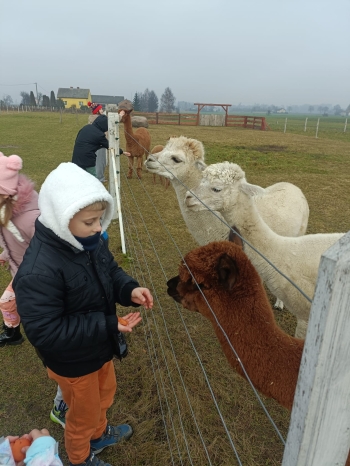 WhatsApp Image 2025-12-17 at 19.36.17 (2).jpeg