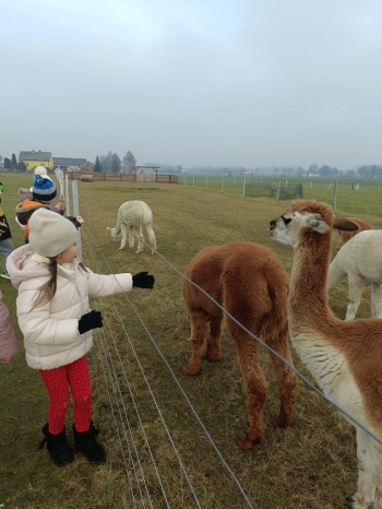 WhatsApp Image 2025-12-17 at 19.36.18.jpeg