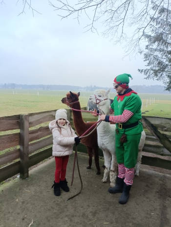 WhatsApp Image 2025-12-17 at 19.36.19 (1).jpeg