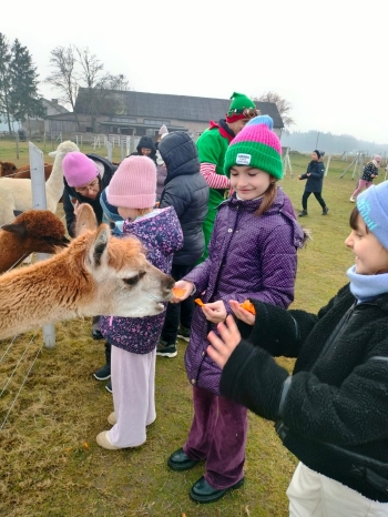 WhatsApp Image 2025-12-17 at 19.46.09 (2).jpeg