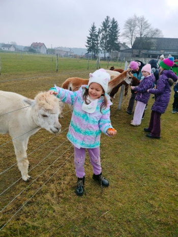 WhatsApp Image 2025-12-17 at 19.46.09 (1).jpeg