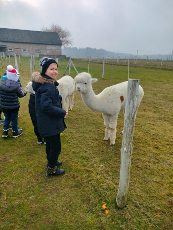 WhatsApp Image 2025-12-17 at 19.46.09.jpeg