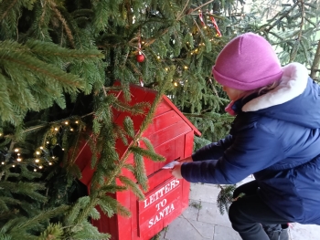 WhatsApp Image 2025-12-17 at 19.49.20 (2).jpeg