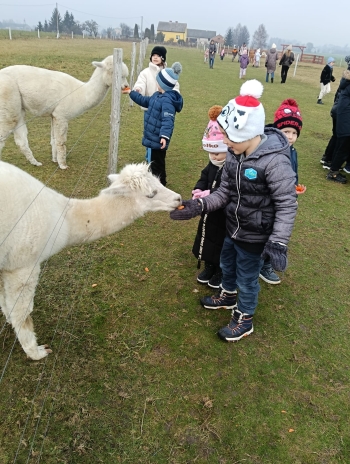 WhatsApp Image 2025-12-17 at 19.49.21 (5).jpeg