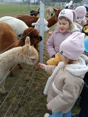 WhatsApp Image 2025-12-17 at 19.49.22.jpeg