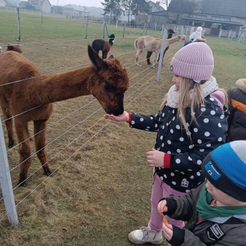 WhatsApp Image 2025-12-17 at 19.52.13.jpeg