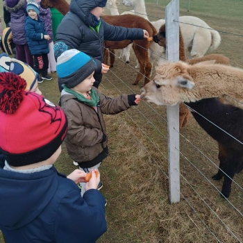 WhatsApp Image 2025-12-17 at 19.52.14 (1).jpeg