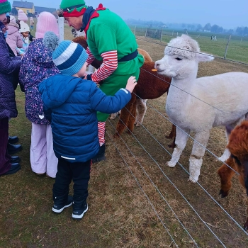 WhatsApp Image 2025-12-17 at 19.52.14.jpeg