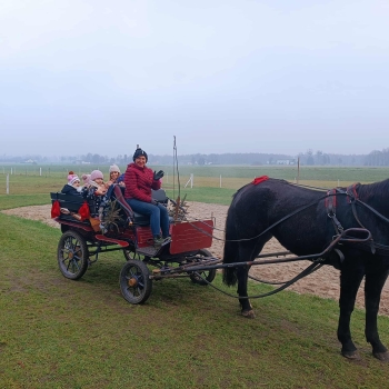 WhatsApp Image 2025-12-17 at 19.52.15.jpeg