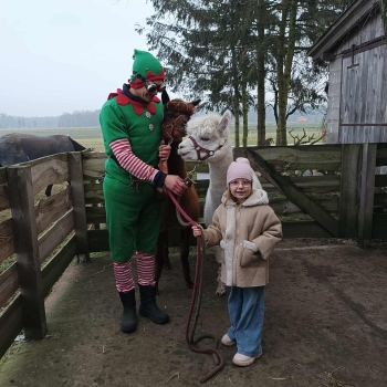 WhatsApp Image 2025-12-17 at 19.52.16 (2).jpeg