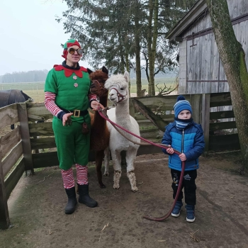 WhatsApp Image 2025-12-17 at 19.52.17.jpeg