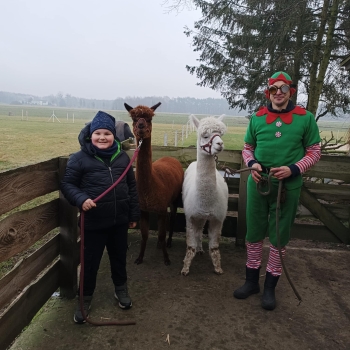 WhatsApp Image 2025-12-17 at 19.52.18.jpeg