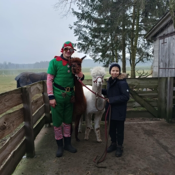 WhatsApp Image 2025-12-17 at 19.52.19.jpeg