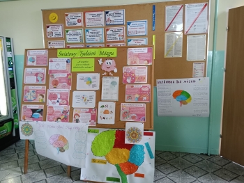 WhatsApp Image 2026-03-17 at 17.05.21.jpeg