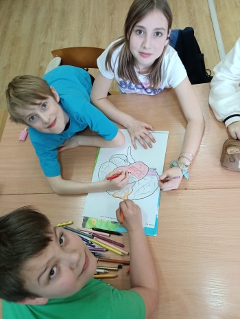 WhatsApp Image 2026-03-17 at 17.05.41.jpeg