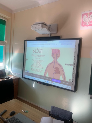 WhatsApp Image 2026-03-17 at 09.17.33.jpeg