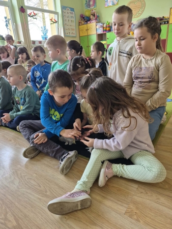 WhatsApp Image 2026-03-29 at 19.26.58 (1).jpeg