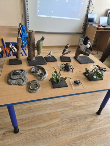 WhatsApp Image 2026-03-29 at 19.26.58 (2).jpeg